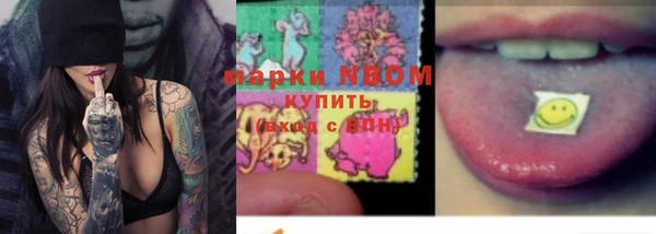 тгк Алзамай