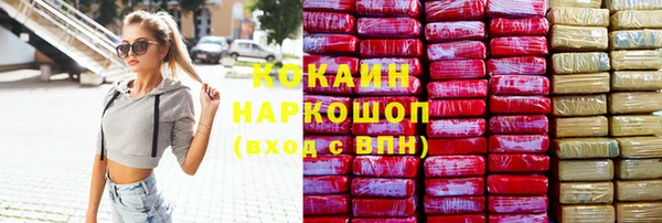 индика Алексеевка