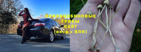 тгк Алзамай