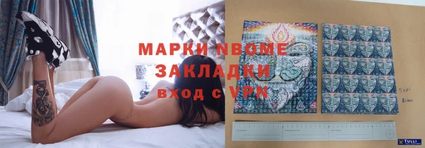 индика Алексеевка