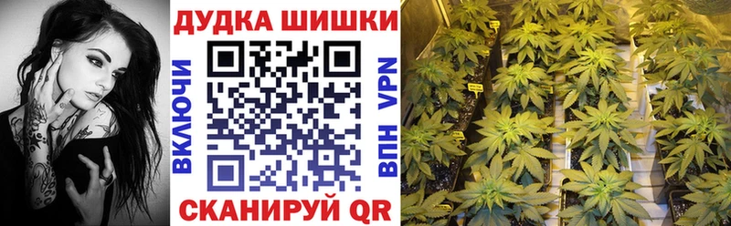 маркетплейс наркотические препараты  Коркино  Бошки марихуана AK-47  купить  сайты  МЕГА ССЫЛКА 